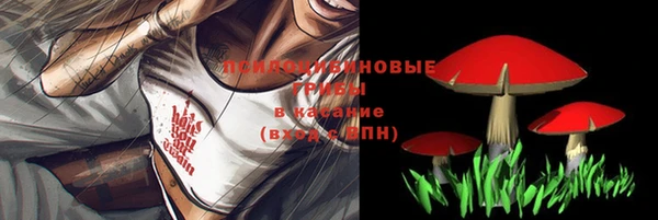синтетический гашиш Алексеевка