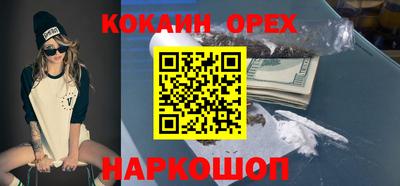индика Дубна