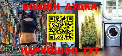 индика Дубна