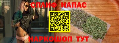 индика Дубна