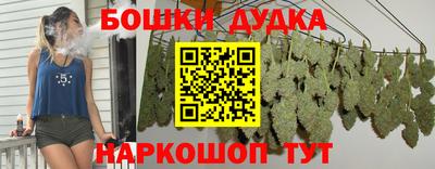 индика Дубна