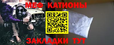 индика Дубна