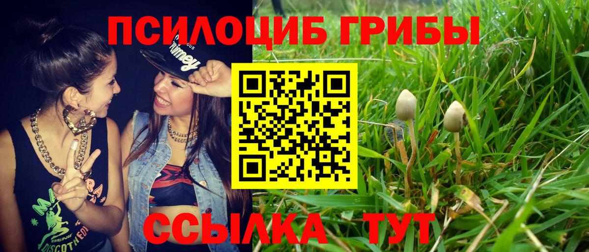 Галлюциногенные грибы ЛСД  Вход с VPN  Дедовск 